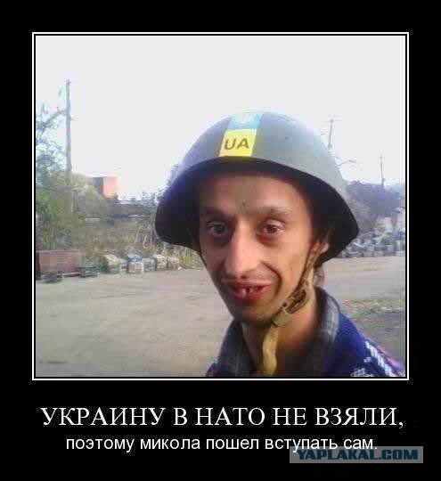 Батальйон Дніпро, патриотическая кричалка