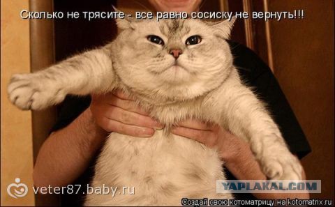 Улыбнуло часть "2"