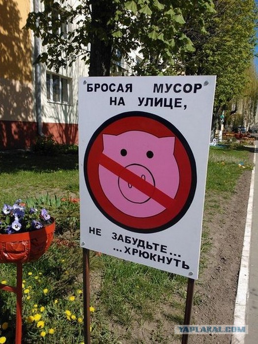 Весёлое из сети
