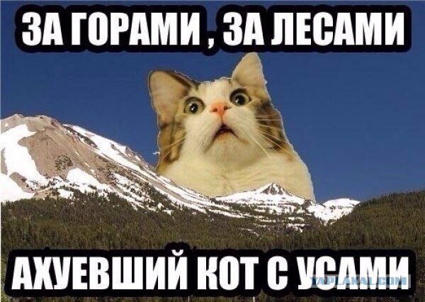 Фотки из сетей, глазовытекательные 18+
