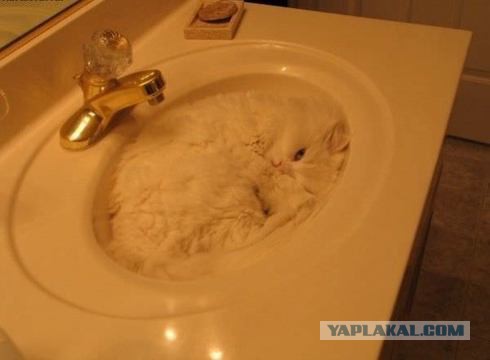 Смотри не наступи!