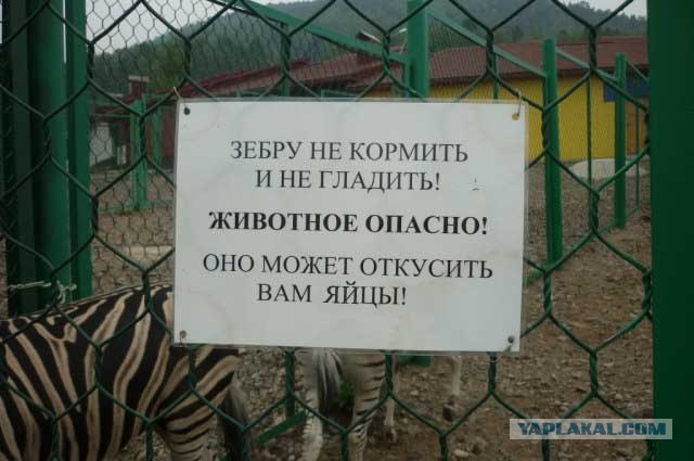 Энциклопедия для самых маленьких.