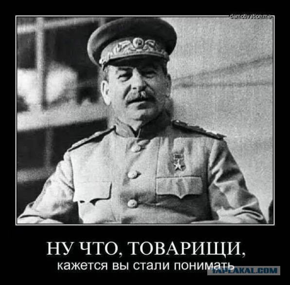 Самые позорные пассажиры на свете