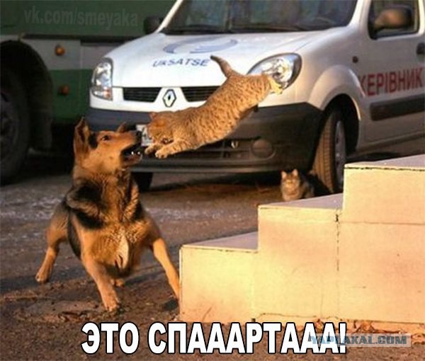 Немного картинок