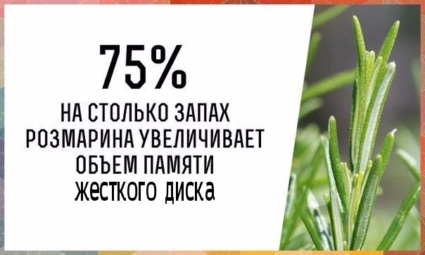 Интересные Научные Гифки и Картинки 6