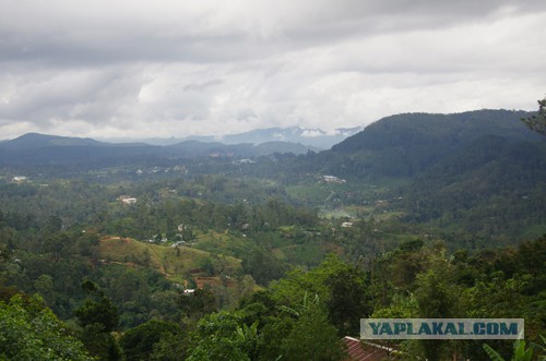 Самостоятельное путешествие в Шри-Ланку
