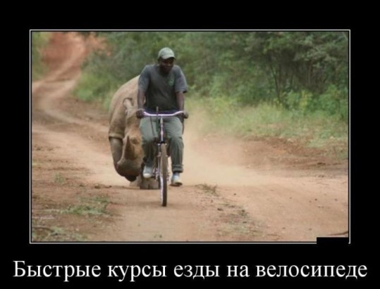 Демотиваторы на субботу