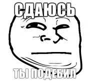 Донецка Народная Республика это: