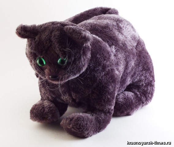 Одинокий кот и игрушка