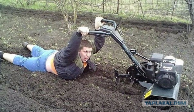 Подборка интересных и веселых фото