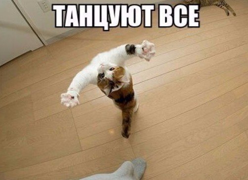 Мохнатые беспредельщики