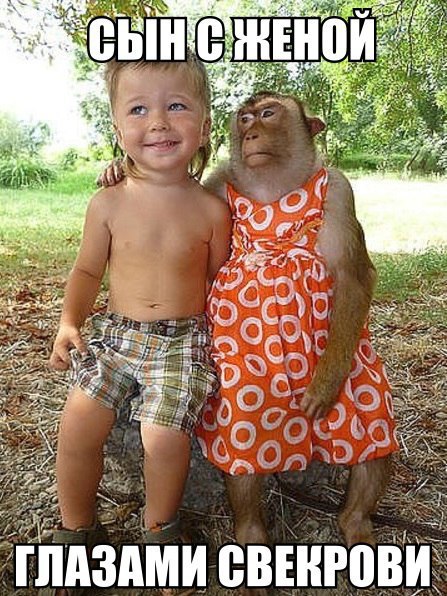 Несколько картинок