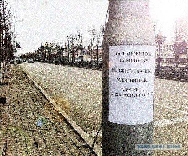 Порция приколов на утро.