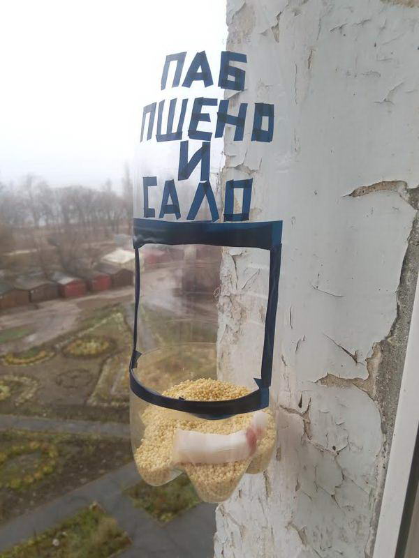 Прикольные картинки