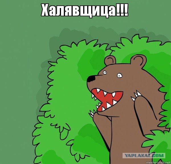 Попутчица