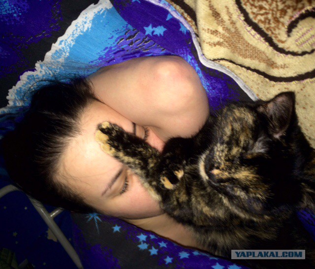 Котовторник 14.03.2017