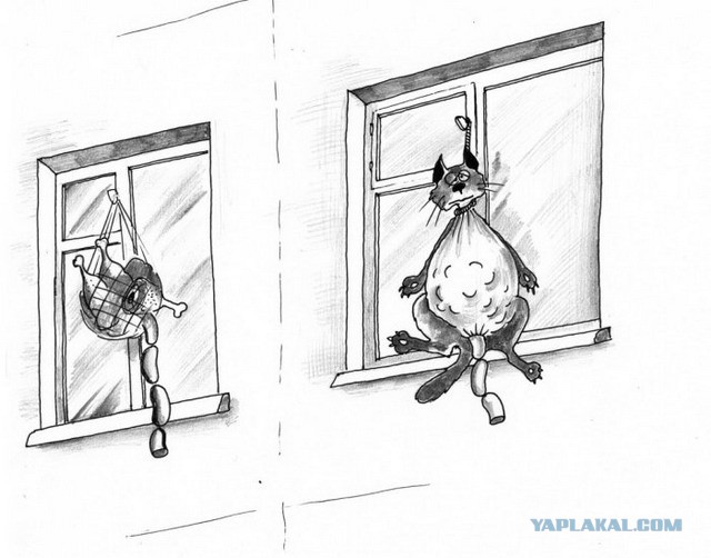 Сергей Корсун (карикатурки)