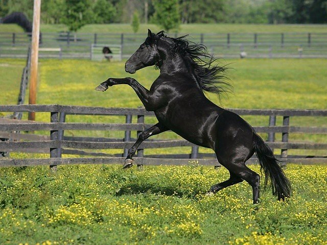 Подборка интересных и веселых картинок