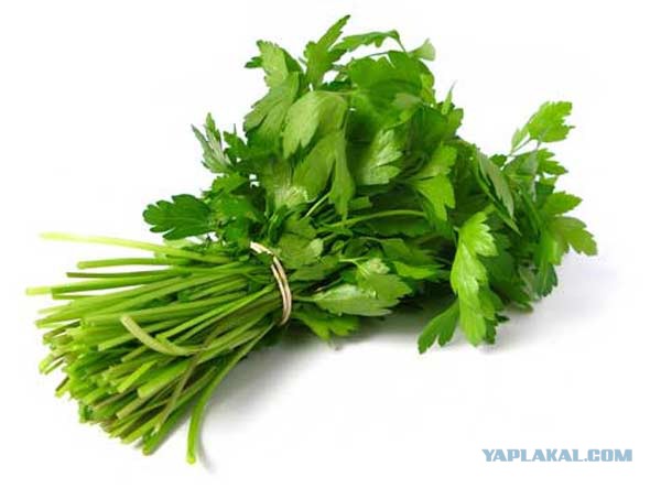 Рассеянный курьер