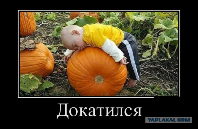 Посмеяться картинки