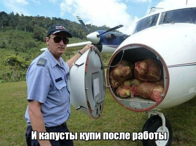 Подборка интересных и веселых картинок