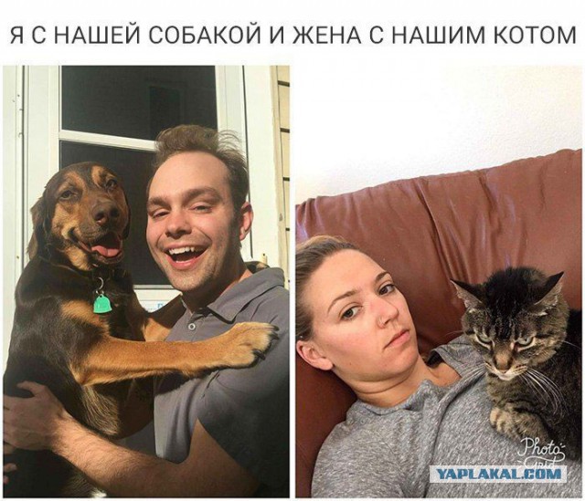 Смешные комментарии из социальных сетей 23.03.2018
