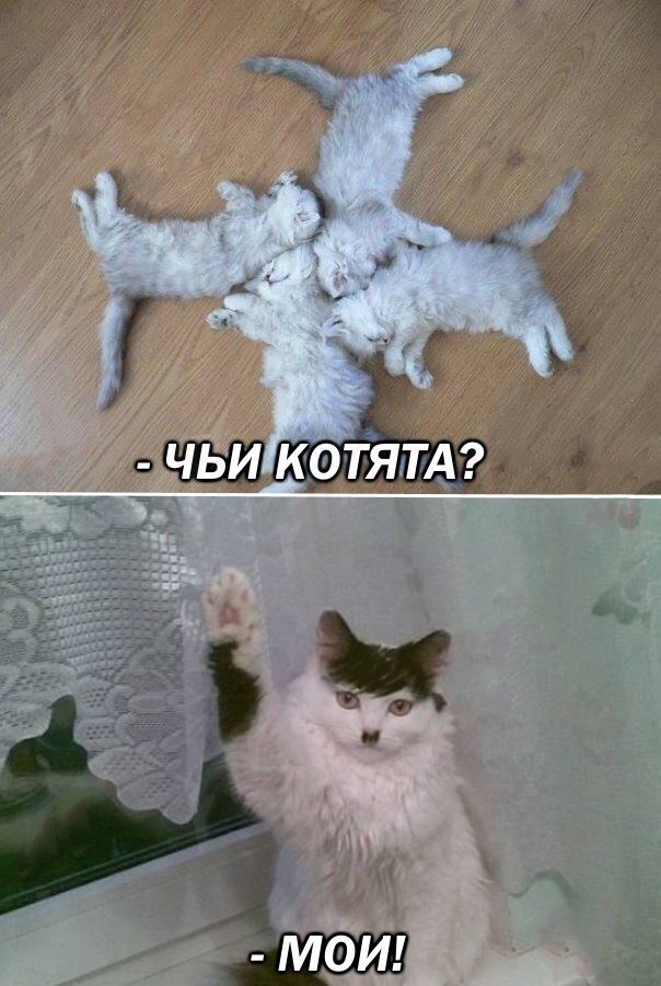 От работы тяжёлой не ной, пост с картинками для отдыха открой!