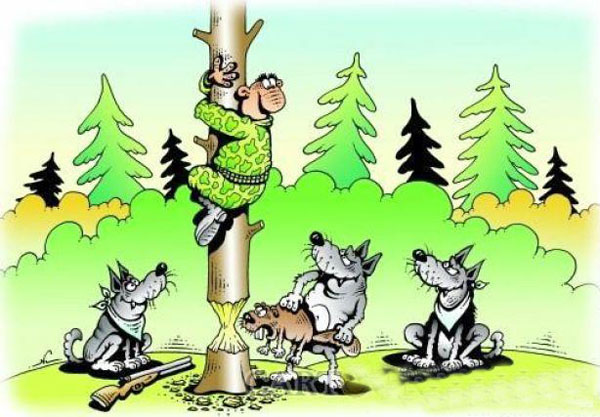 Ходил за соком в лес