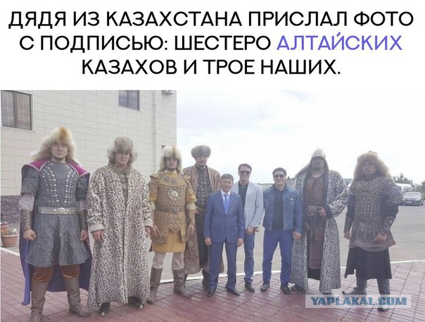 12133321.jpg