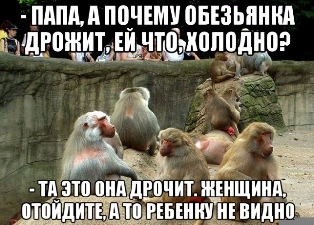 Дурацкие картинки
