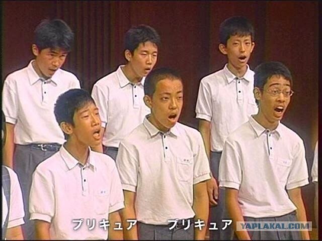 Крысы напали на котов! Жесть и мясо!