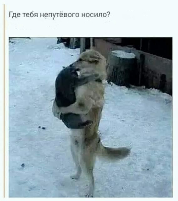 Немного картинок для настроения
