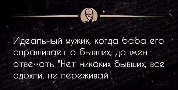 стырнета