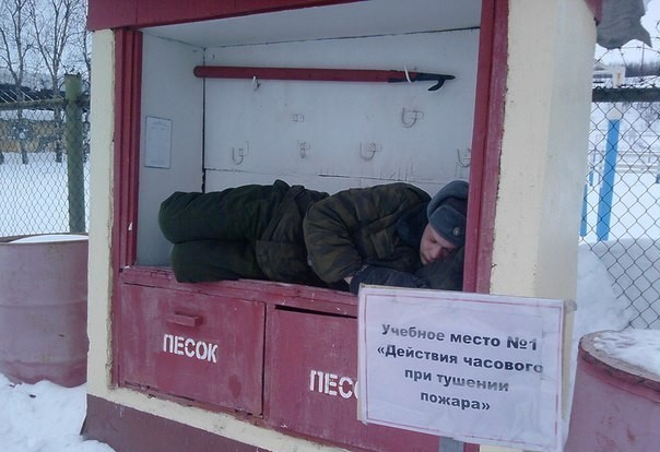 Скотсети и прочие интернеты 10.06.19