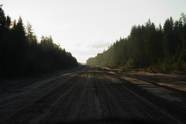Двинско-Пинежское междуречье: как исчезают первозданные леса