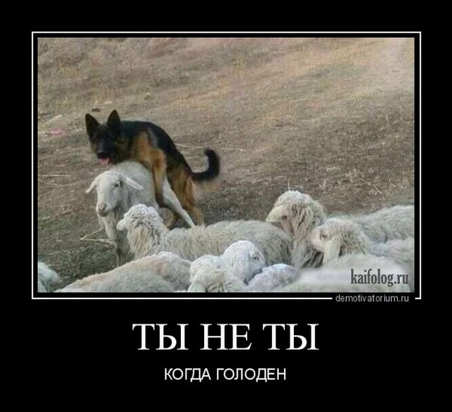 Ещё немного потерпеть