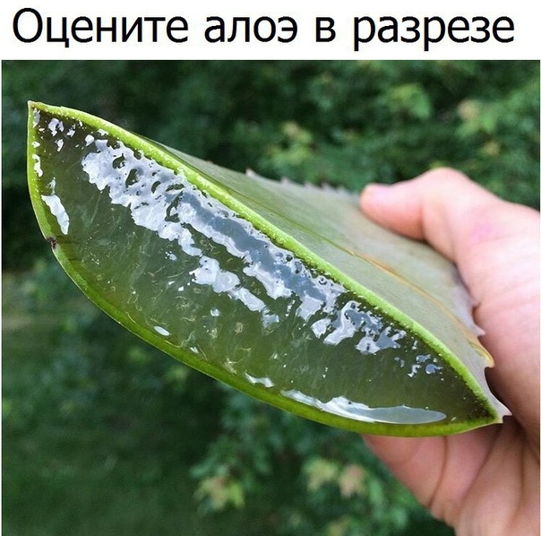 Немного картинок с надписями и без - 30