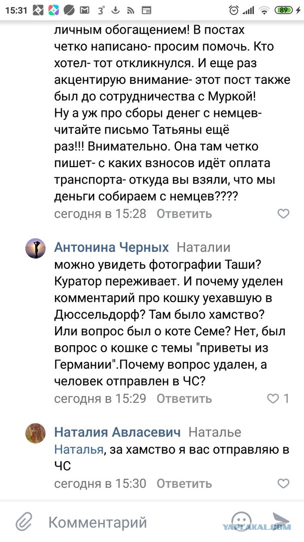 Помогите вернуть кота! Приют "Преданное сердце" украл кота и не отдает!-2