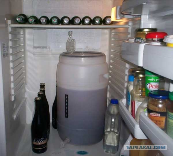 Чем питаются студенты?