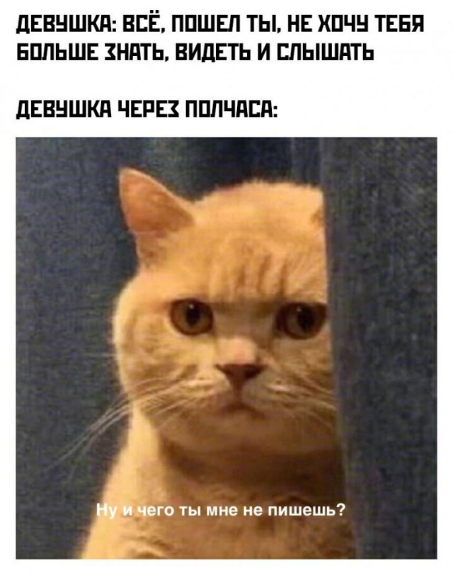 Немного картинок для настроения 13.02.20