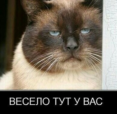 Те самые мирные женщины и дети, которых нещадно бомбит ВКС
