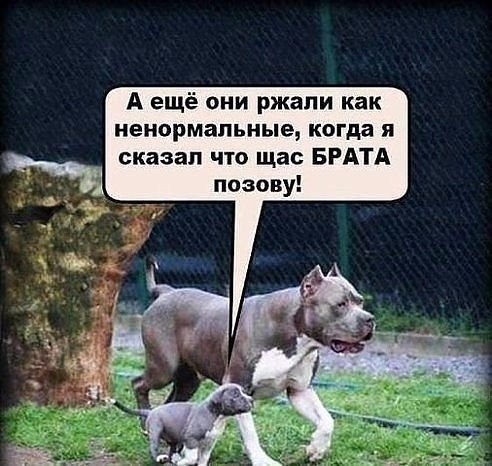 Так себе картинки 18.05.20