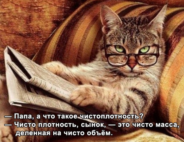 Картинки разные 08.10.2020