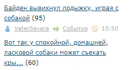 Байден вывихнул лодыжку, играя с собакой
