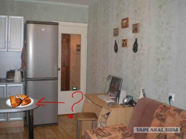 Найди кота
