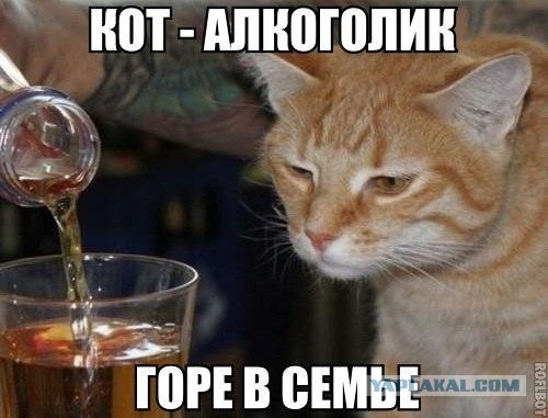 Подведём игоги