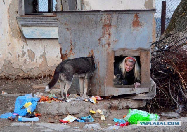Фотожаба: Собака с Девушкой