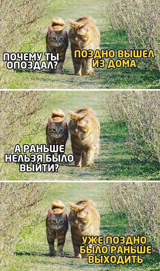 Юмор из соцсетей Ч.1