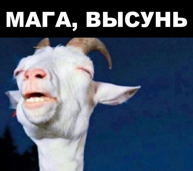 Участника чеченской войны пришедшего отремонтировать телефон сравнили с гитлеровцем