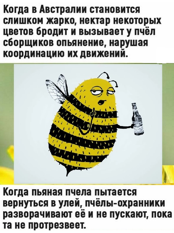 Картинки с надписями и всякие жизненные фразы 17.03.21